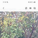 ���� �������, �������, 57 ��� - ��������� 21 ������� 2024 � ������ ���� ����������