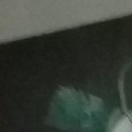 , --, 50 