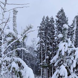 �������, ����������, 20 ���