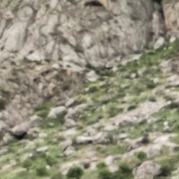 Edu, �������, 42 ����