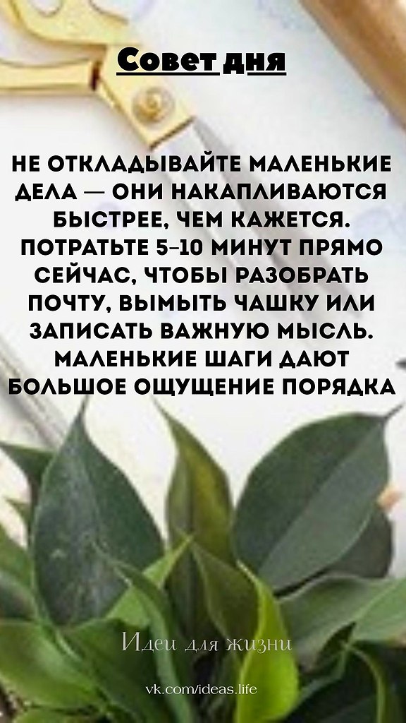 Каждому знакомо чувство, когда мелкие задачи висят над головой и будто тянут энергию. Немытая чашка, ...