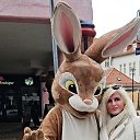 ���� �����, ������, 54 ���� - ��������� 8 ������ 2026 � ������ ���� ����������