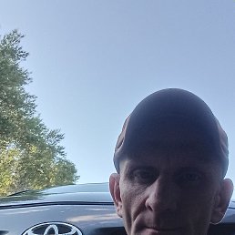 , 44 , 