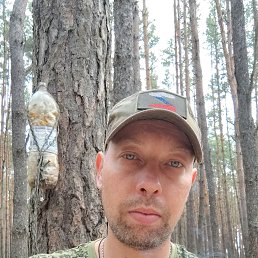 , 33, 