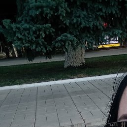 �����, ���, 41 ���