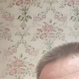 ������, ������������, 43 ����