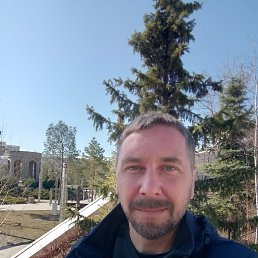, 41, 