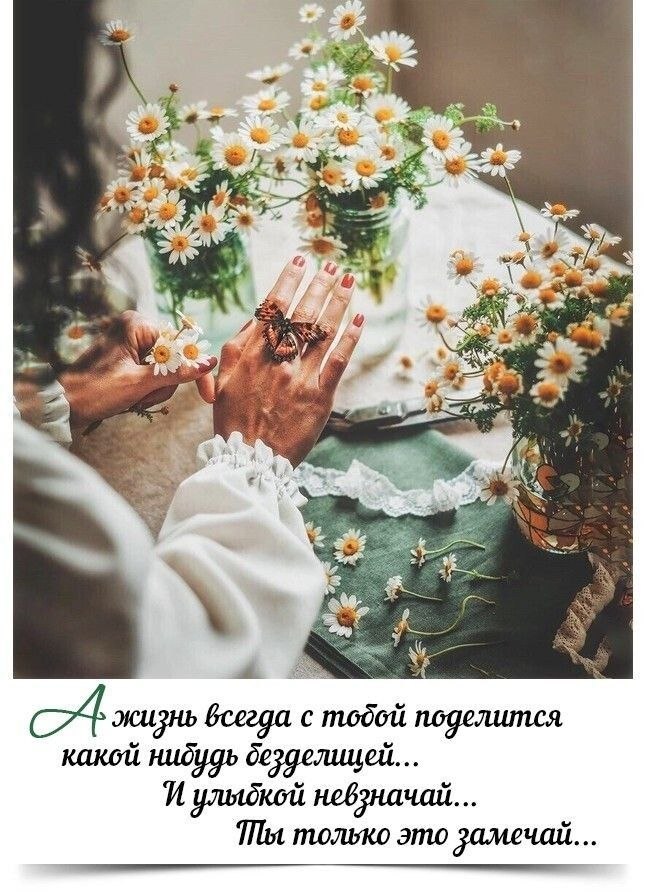  - 11  2025  06:49