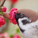 ���� �������, ������ - ��������� 21 ������ 2026 � ������ ������ ��������
