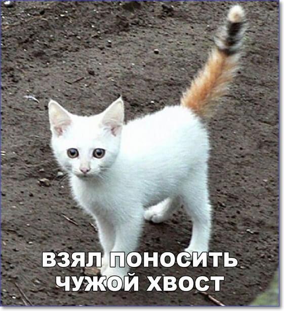  - 23  2025  07:44
