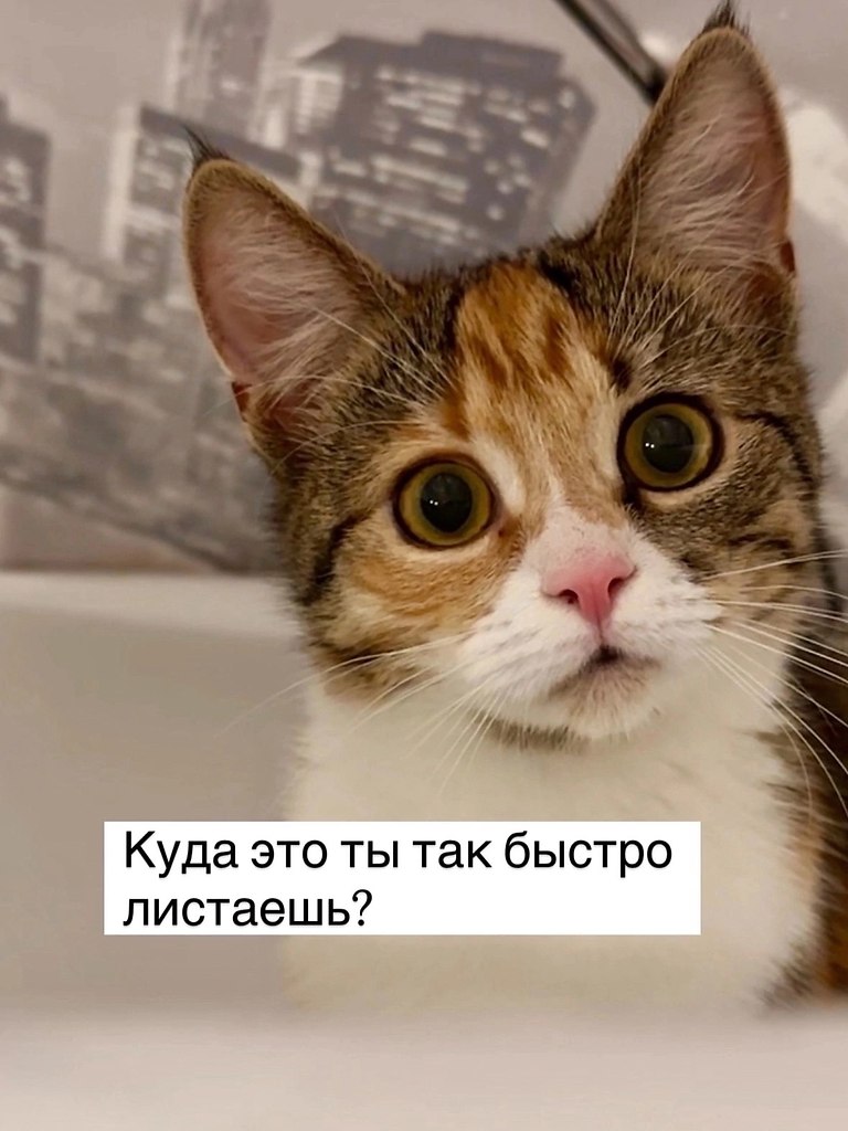 = - 2
