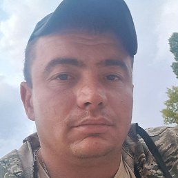 ���������, ��������, 29 ���