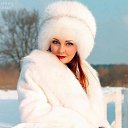 ���� Elfxfff, ����� - ��������� 7 ������� 2026 � ������ ���� ����������