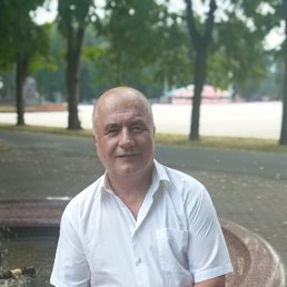 , 61, 