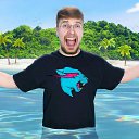 ���� �����, ������ ��������, 42 ���� - ��������� 25 ������� 2024 � ������ ������