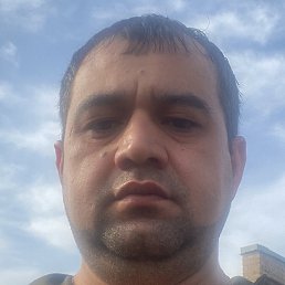 Ynus, ������, 41 ���