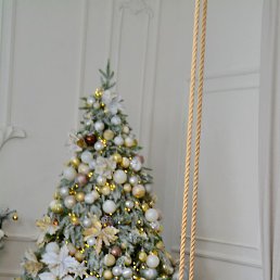 ���������, ������������, 32 ����