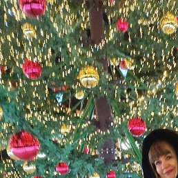 �������, �����������, 55 ���