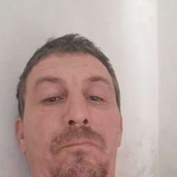 , 42 , 