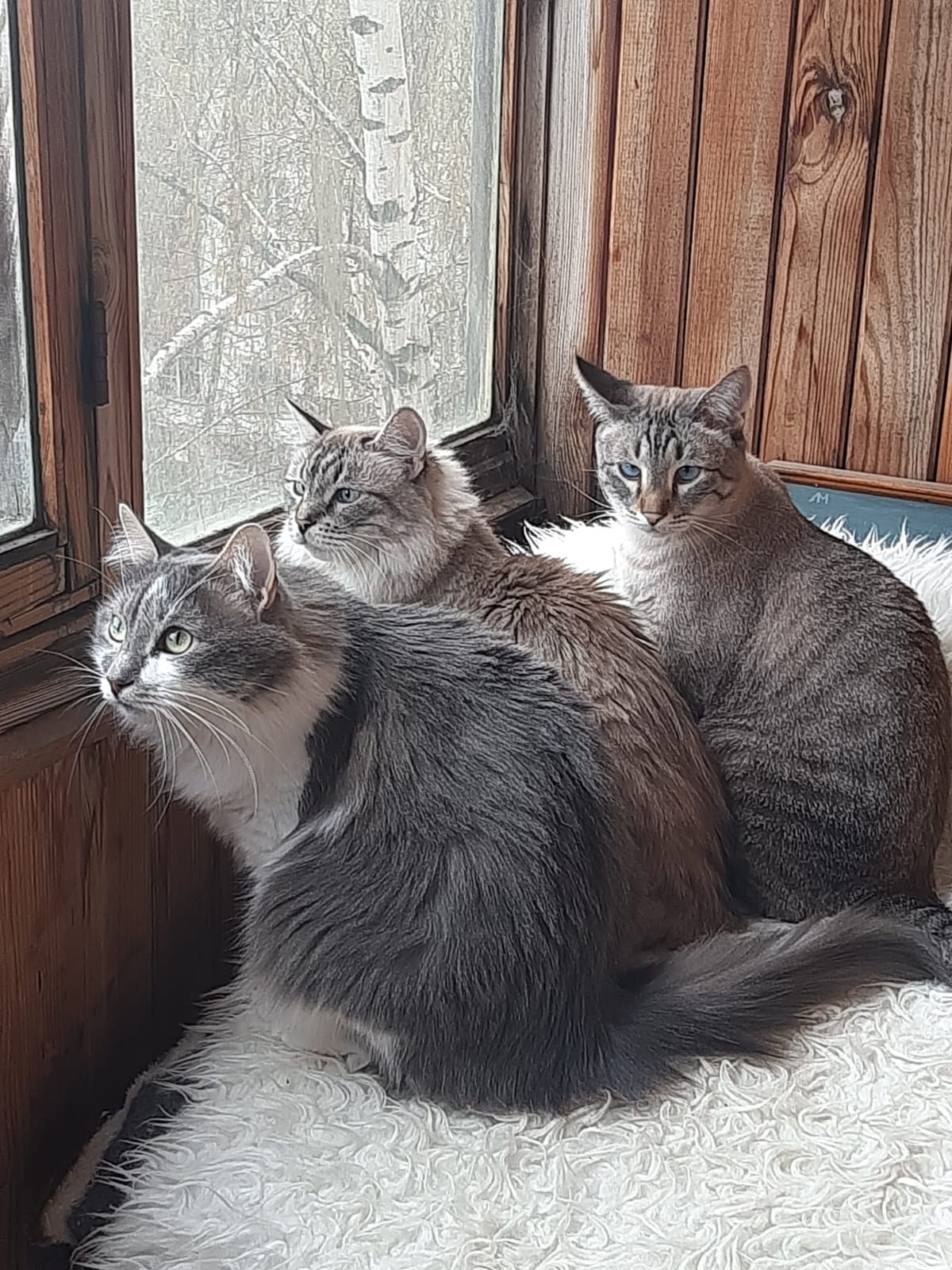 ** - 13  2025  21:46