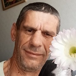 , , 52 