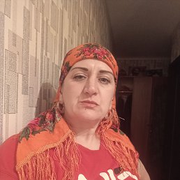 ���� ����� ��, �������, 44 ���� - ��������� 24 ������� 2026