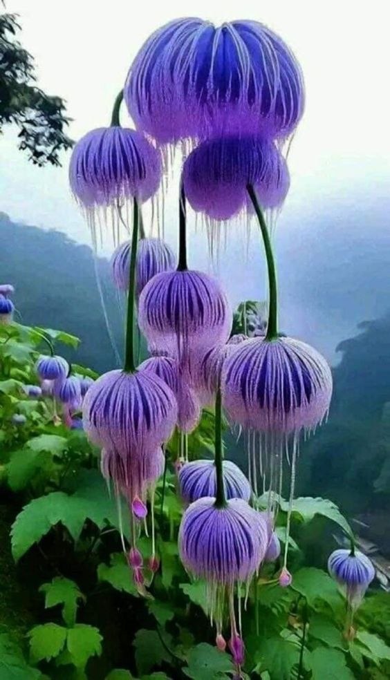 ₪╬═►  ||  ||  ◄═╬₪ - 14  2023  14:15