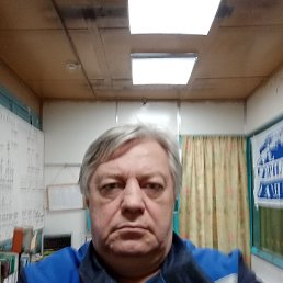 , 65, 