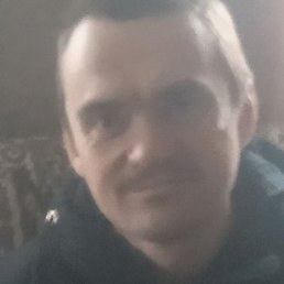 �������, �����, 41 ���