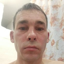 ������, �����, 41 ���