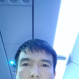 , 39, 