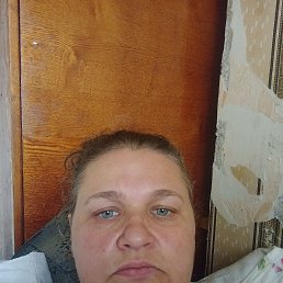  , 41, 