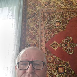  , 61 , 