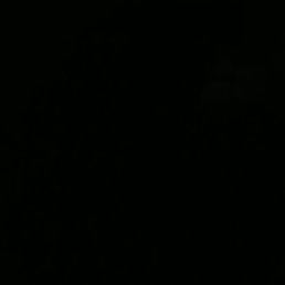 Nikki, ������, 23 ����