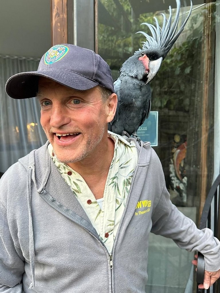 � ���� ����������� ��������� � ������� �������� �������. ��� ����, ������ ����������, � 70-� ���� ...