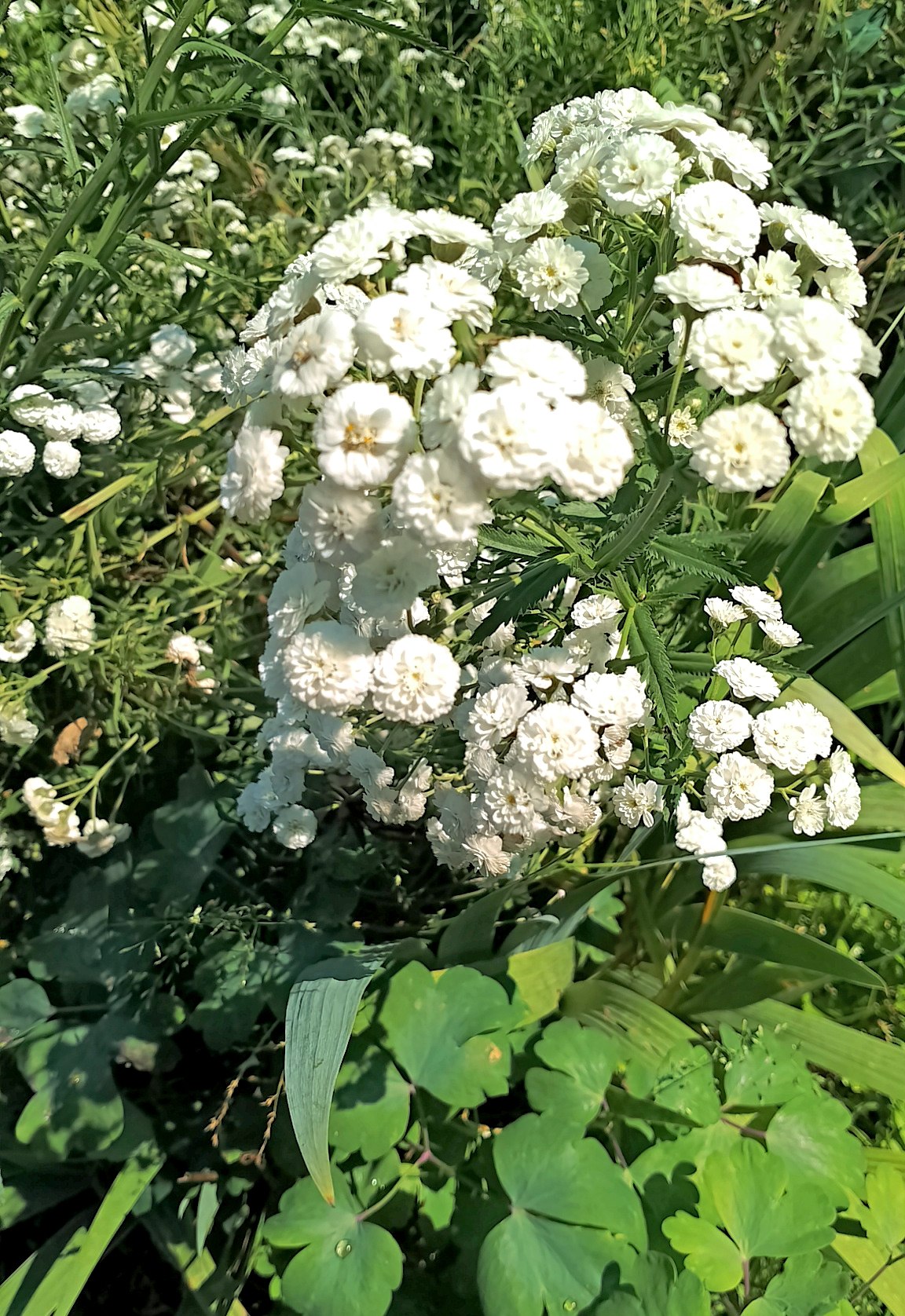 ������ ������ - 11 ������ 2025 � 08:08