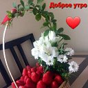 ���� ������, �������, 48 ��� - ��������� 1 ������ 2023 � ������ ���� ����������