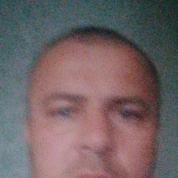 , 41 , 