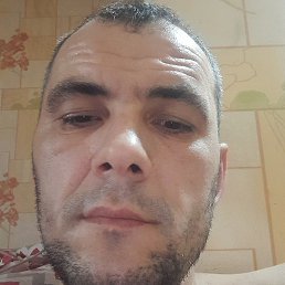 �����, �������, 38 ���