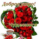 ���� Vitali, �������, 41 ��� - ��������� 17 ������� 2024 � ������ ���� ����������