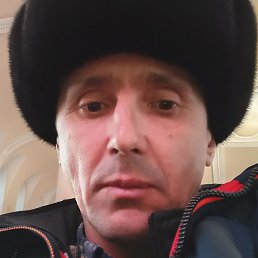 ������, �����������, 50 ���