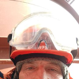  , 51, 