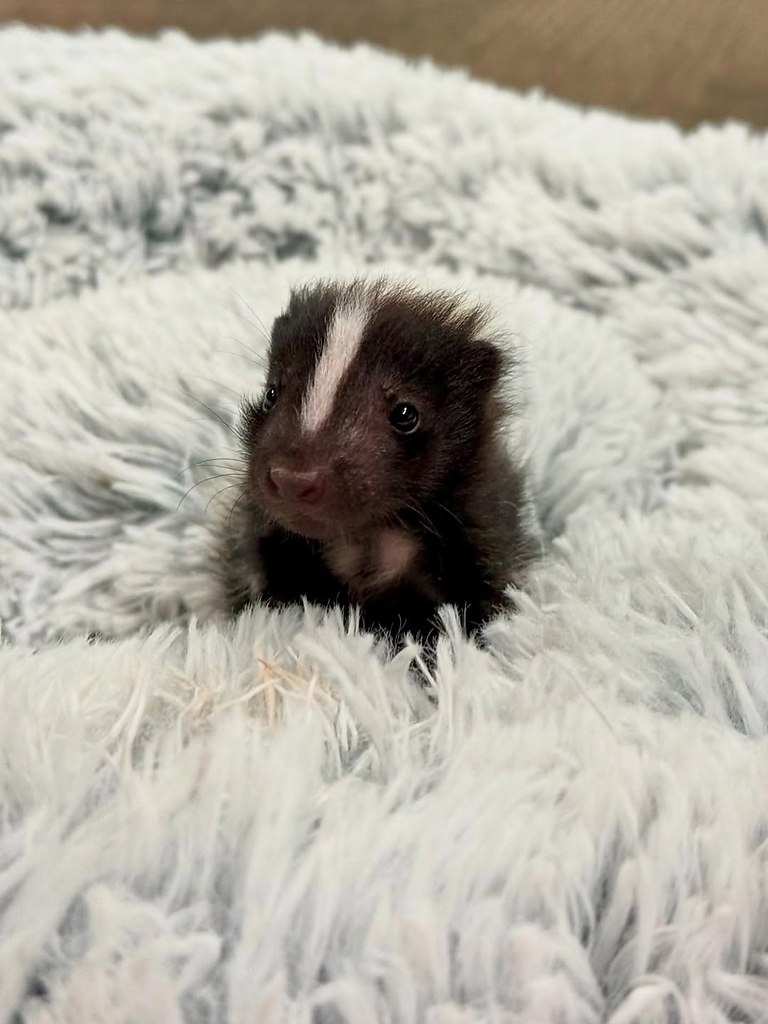  -    ?   !      ... - 5