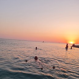 ���� �����, �����������, 38 ��� - ��������� 25 ������� 2026