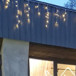 ������, �����, 55 ���