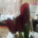 ���� �����, �������, 49 ��� - ��������� 10 ����� 2024 � ������ ���� ����������