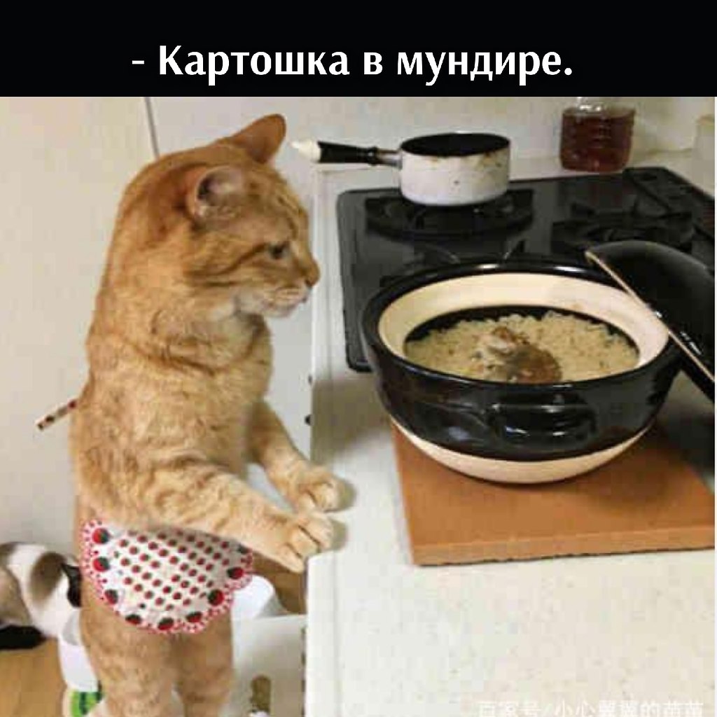       - 29  2025  17:34 - 2