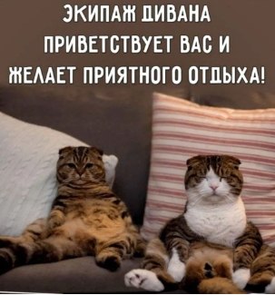   - 6  2025  15:55