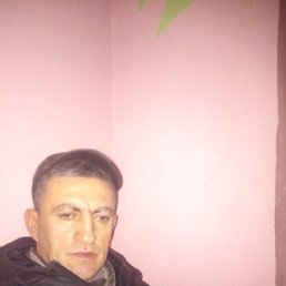, 54, -
