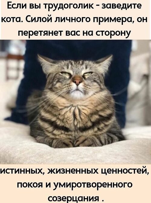  ,  ! - 17  2025  18:46